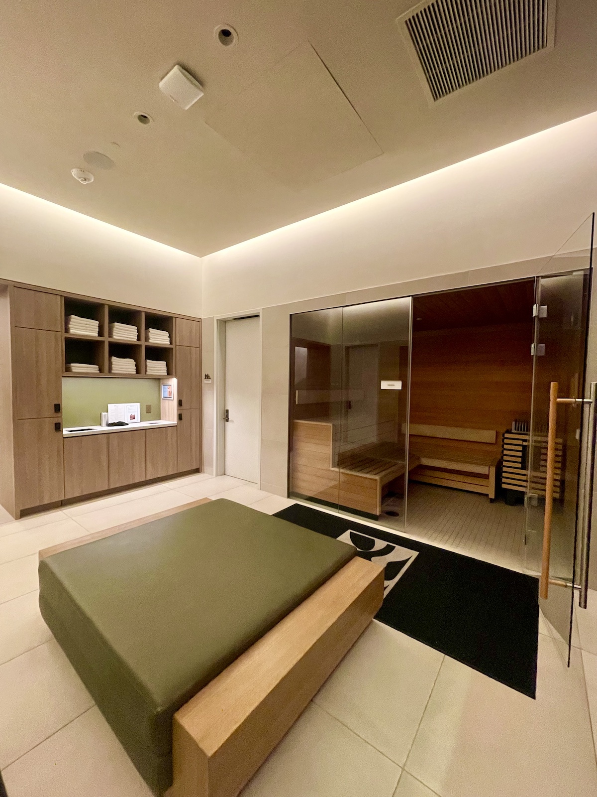 Sauna and steam room